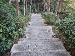 -福道