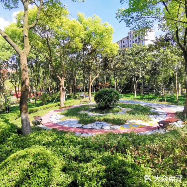 华师大二附中 校园环境太好了吧