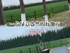 -汉长安城未央宫国家考古遗址公园