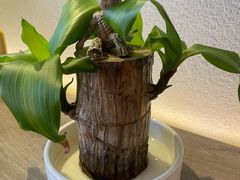 -富临轩私房菜(集庆门大街店)
