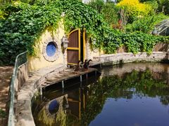 -南宫五洲植物乐园