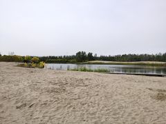 -东郊湿地公园