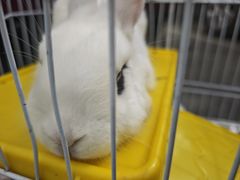 -车里行间汽车会员俱乐部·KSG隐形车衣星光店