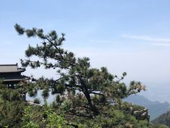 -神憩宾馆-餐厅