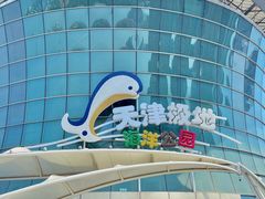 -海合安天津极地海洋公园