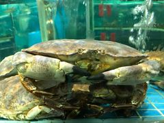-海大大蒸汽海鲜餐厅·粤菜·特色小炒(欢乐颂店)