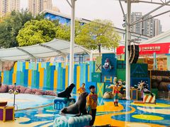 -海合安成都极地海洋公园