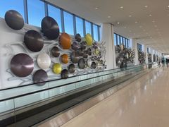 -奥黑尔国际机场