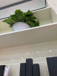 -痘博士天津·全国连锁祛痘机构