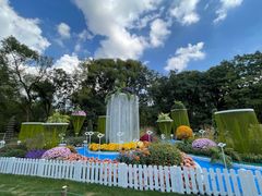 -上海共青森林公园