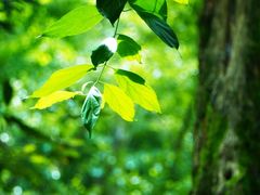 -白鹭湾湿地公园