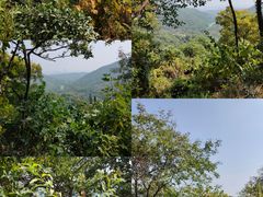 -老山国家森林公园