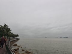 -野狸岛