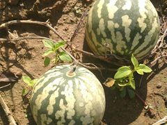 -南戴河国际娱乐中心