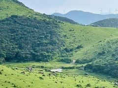 -大姆山草场