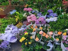 -循礼门鲜花花市(武汉循礼门店)