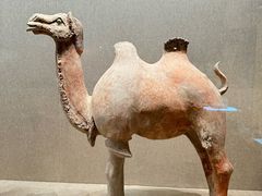 -敦煌市博物馆