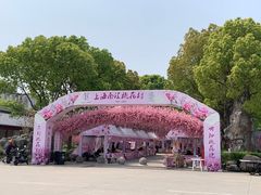 -南汇桃花村