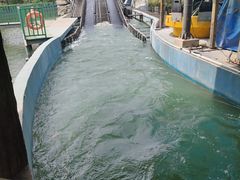 -济南方特东方神画