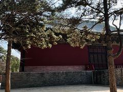 -永乐宫