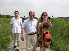 -东平国家森林公园