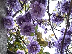 -溪口-滕头旅游景区