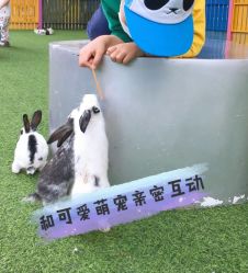 -萌宠亲子动物乐园(槐房万达店)