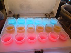 -Famous肥猫墨西哥音乐餐吧(五棵松华熙LIVE店)