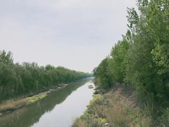 -东郊湿地公园