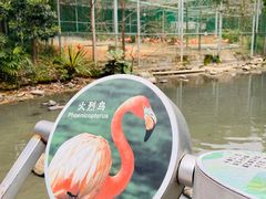 -福州动物园