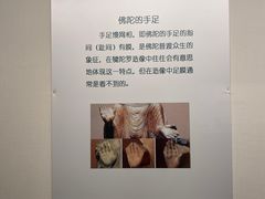 -旅顺博物馆