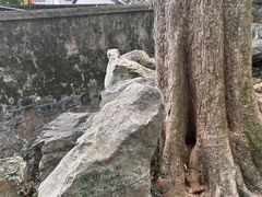 -绮园景区