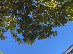 -丽水汇精品云南菜