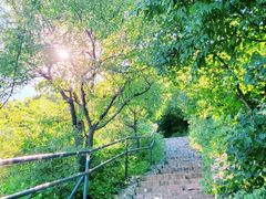 -香山公园