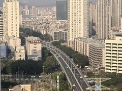 -金鸡山公园