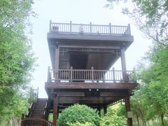 -天津东丽湖风景区