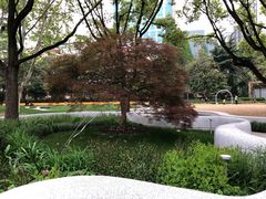 -新虹桥中心花园