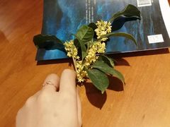 -西西弗书店&矢量咖啡(凯德晶萃广场店)