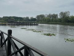 -溱湖国家湿地公园