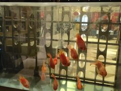 -北京西单美爵酒店-融轩中餐厅