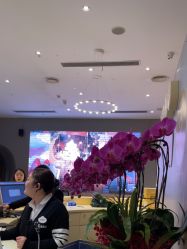 -超级奈尔宝SUPER NEOBIO(杭州星光店)