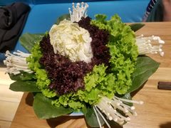 -青瓷火锅料理(西单大悦城店)