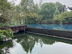 -杭州西子湖四季酒店-WL BISTRO西湖餐厅(灵隐路店)