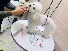 -FAELING PETS美天灵宠物(富力广场店)