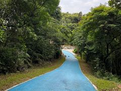 -黄埔油麻山森林公园