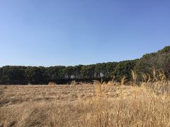 -良渚古城遗址公园