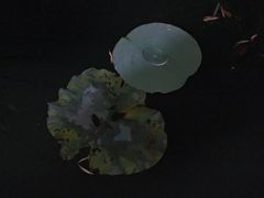 -西湖天地