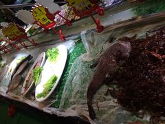iphone_upload_pic-森谷美食公园(杨行店)