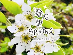 -白鹭湾湿地公园