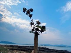 -坝光海滩